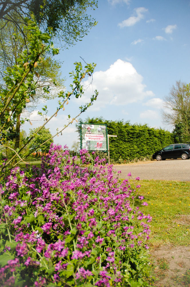 Bed & Breakfast De Kreitsberg Duifhuis Luaran gambar
